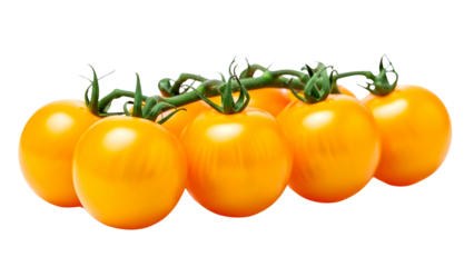 Fresh yellow cherry tomatoes on vine isolated on transparent background