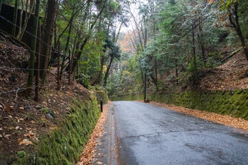 Kyoto Trail and surrounding area scenery