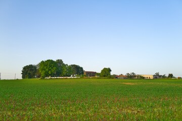 경관, 목초, 들판, sky, 네이처, green, 목초지, 여름, 나무, blue, 봄, 농촌, 경작, 시골, 구름, 국가, 농장, 수평선, 고개, 계절, 명랑한