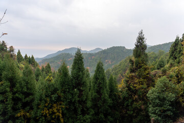 Kyoto Trail and surrounding area scenery
