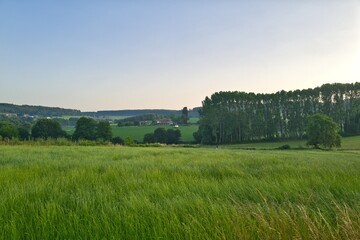 들판, 경관, 목초, sky, green, 목초지, 네이처, 여름, blue, 구름, 농촌, 봄, 나무, 경작, 시골, 농장, 수평선, 국가, 대지, 고개, 계절