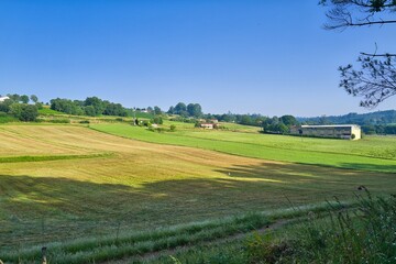 경관, 들판, sky, 목초, green, 네이처, 목초지, 여름, blue, 경작, 농촌, 구름, 나무, 봄, 농장, 시골, 국가, 수평선, 고개, 대지, beautiful, 식물