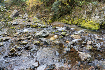 Kyoto Trail and surrounding area scenery