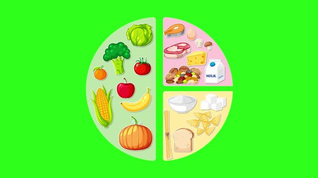 Animated Food Group Wheel Filling on Green Background