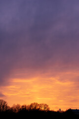 Dramatic sunset over forest with vibrant purple and orange clouds in the sky