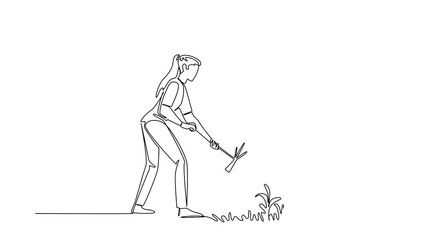 Animated self drawing of continuous line drawing of a woman using a hoe to clear weeds from a garden bed, nature concept for home gardening, National Weed Your Garden Day. Full length animation