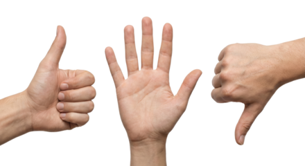 Expressive collection of human hand gestures showing approval and disapproval isolated on