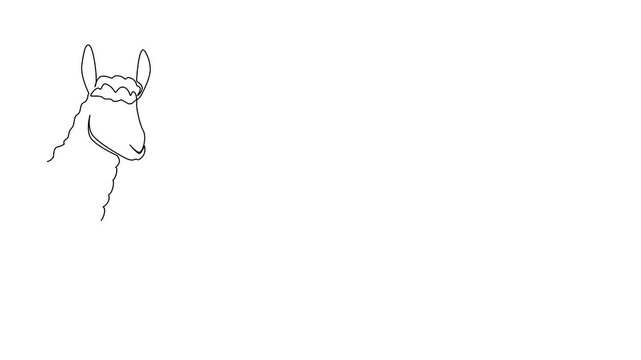 Animation of single line drawing of an animal, an alpaca waving paw leg, a nature concept related to an international event Say Hi Day celebration. Full length motion