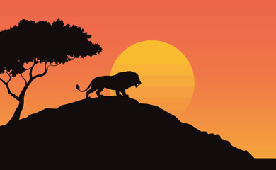 Naklejka premium A lion stands on a hill in silhouette against a vibrant orange sunset with a tree to its left