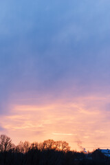 Dramatic pastel sunset sky above dark winter trees and distant buildings