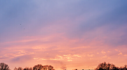Vivid pastel sunset sky with trees and birds in winter landscape