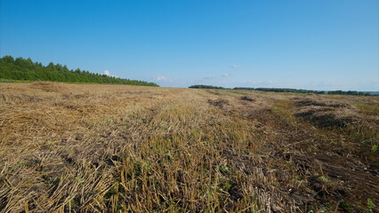 Vast and Expansive Landscape Featuring Grassy Terrain Beneath a Clear and Bright Blue Sky