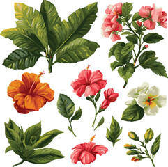  Isolated on tropical set with leaves and flowers. Exotic plants in realistic style. Vector objects for wedding design, invitations, postcards, etc