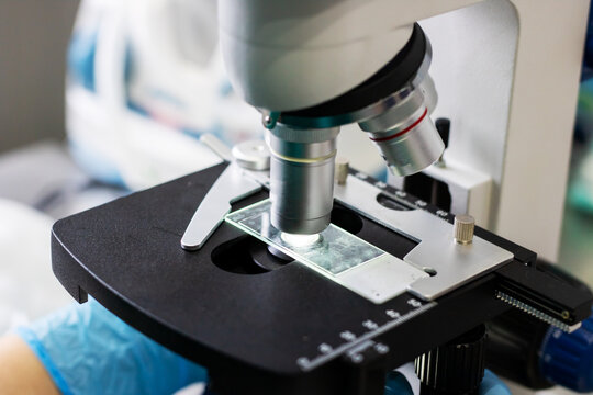 Clinical scientist analyzing cellular features using microscope on prepared glass slide