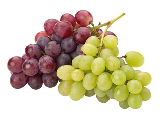 Fresh grapes in mix of green and red colors