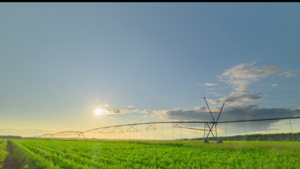 A Vibrant Agricultural Landscape Featuring an Efficient Irrigation System at Stunning Sunset