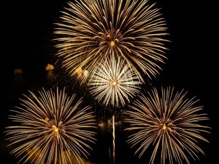 Vibrant gold fireworks exploding in night sky with bright sparks and bokeh lights