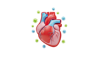 3D Heart with Viruses on transparent background