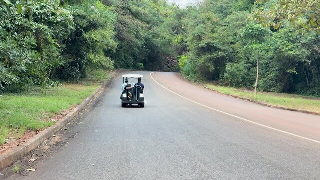 Golf Cart Driving Through Lush Green Forest in Khao Yai Thailand