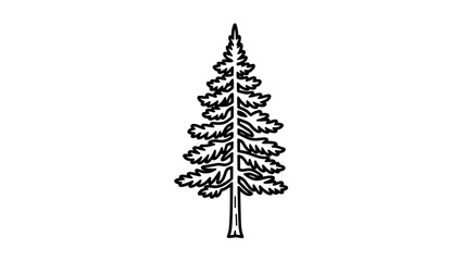 Simple Black and White Fir Tree Illustration.