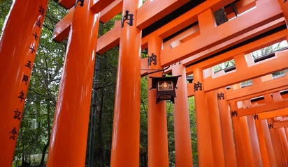 Gordijnen Torii Gates Japanese traditional toro hanging lantern light in torii gate with forest background  © niyas