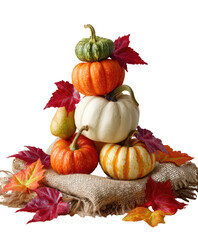 Festive stack of mini pumpkins and gourds on natural burlap isolated on transparent background