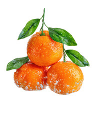 Fresh tangerines with water mist vibrant and juicy isolated on transparent background