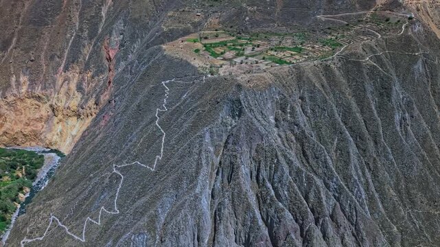 Aerial drone footage of lush oasis at the bottom of Colca Canyon in Peru a visible hiking trail winds through green agricultural farmland highlighting human presence cultivation dramatic canyon scale