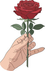 hand holding a red rose from stem