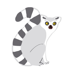 特徴がわかる ワオキツネザルのシンプルなイラスト / Simple ring tailed lemur illustration © Hanako Mori