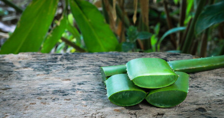 Aloe vera plant placed on an old wooden floor, rustic texture, natural light, copy space for text.