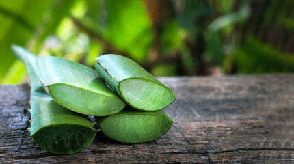 Green aloe vera plant on aged wooden floor, minimal rustic style with copy space.
