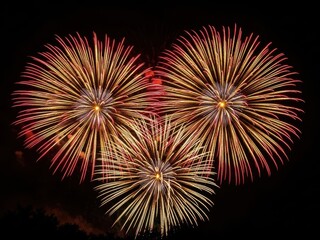 Vibrant fireworks exploding in the night sky with colorful bursts of light and energy