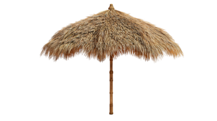 Tropical straw beach umbrella isolated on light gray background.