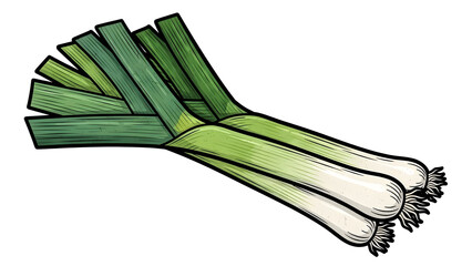 Fresh green leek isolated as a healthy organic ingredient and a natural spring vegetable. Vector illustration of raw garden produce for nutritious vegetarian cooking and wellness diet artwork.
