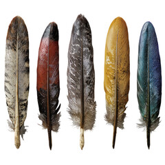 Set of vintage dark feather quill pens with metallic nibs for calligraphy isolated on transparent background


