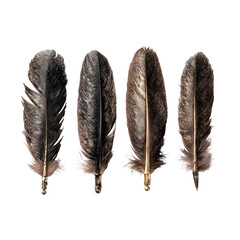 Set of vintage dark feather quill pens with metallic nibs for calligraphy isolated on transparent background


