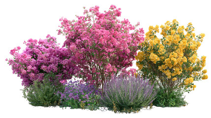 Colorful garden shrubs with pink yellow and purple flowers on transparent background

