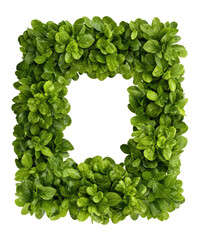Rectangular frame made of fresh green leaves and lush foliage on transparent background

