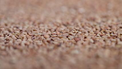 Macro shot emphasizes textured buckwheat grains with cozy background, Close view of textured buckwheat grains illuminated by warm light with soft background ambiance