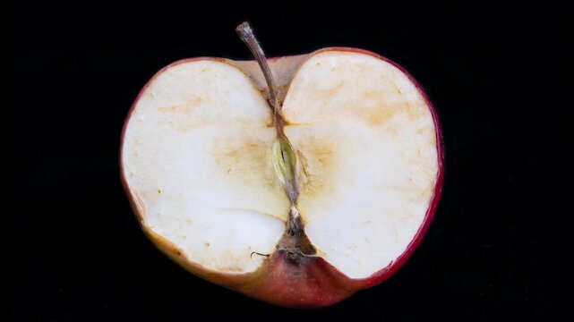 Apple fragment shows aging process, Close view of fruit deterioration over time, Highcontrast photograph illustrating organic breakdown and moisture loss in apple slices