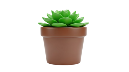 3D Green succulent plant in a brown pot on transparent background