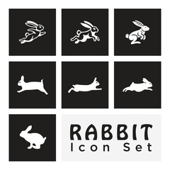 Rabbit icon set logo template