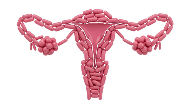 Human uterus and fallopian tubes made from pink balloons, reproductive system concept, creative balloon art perfect for medical or health education