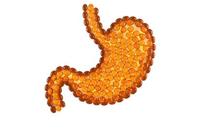3D illustration of human stomach anatomy made of orange spheres, medical concept for digestive system education