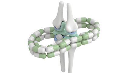 3D Rendered Model of Human Knee Joint with Ligaments and Cartilage, Medical Illustration for Education and Healthcare Presentations