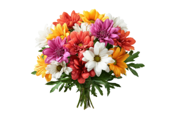 Vibrant bouquet of assorted chrysanthemums in multiple colors on black background flower floral, Isolated On White Background, Png Transparent