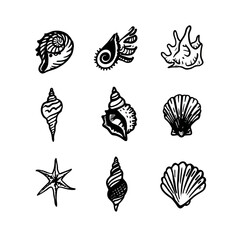 Collection of hand drawn seashells vector illustrations on white background