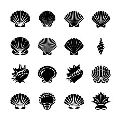 Black and white vector illustrations of various shells for design