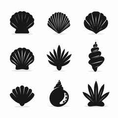 Elegant vector illustrations of seashells in black and white for design